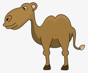 Camel Png Clipart - Camel Clipart Panda