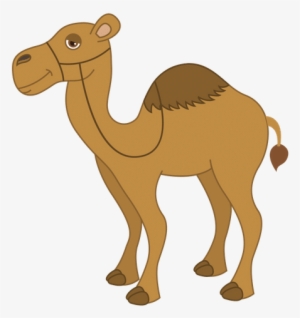 Camel - Dictados Para Primaria Cortos