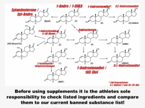 Inbf Wnbf Banned Substance List You Have Been Warned - Banned Drugs List In India 2018