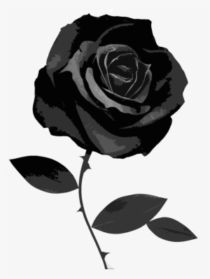 Black Roses Png - Black Rose White Background