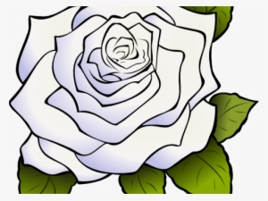 White Rose Clipart Animated - Rosa Blanca Dibujo Png