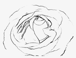 This Free Icons Png Design Of Rose Black & White