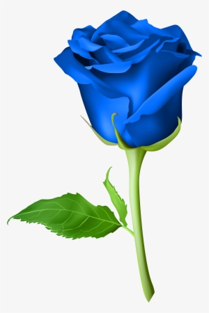Roses Are Blue - Blue Rose Png Hd