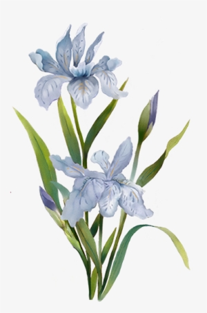 Menu Blue Flower - Portable Network Graphics