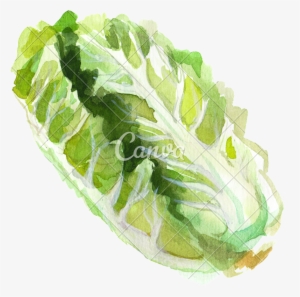 Cutout Watercolor Romaine Lettuce - Watercolor Painting