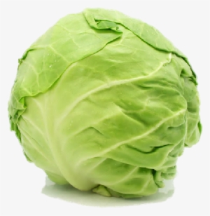 Cabbage Free Png Image - My First Big Book Of Vegetables