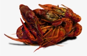 Get Your Crawfish Boil On At Capt - Homarus