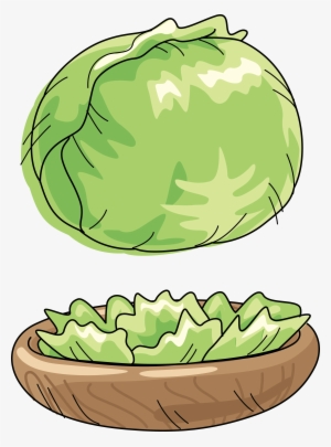 Cabbage Watermelon Vegetable Cartoon Clip Art - Vegetable