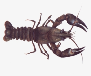 Monterey Bay Aquarium