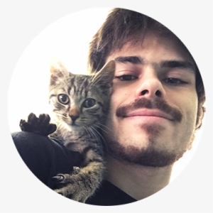 Adam Rapillo - Domestic Short-haired Cat