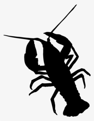 Png Black And White Crayfish Silhouette At Getdrawings - Crawfish Silhouette Clipart