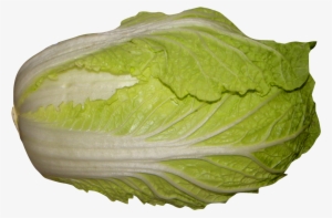 Napa Cabbage Png Image - Napa Cabbage Png