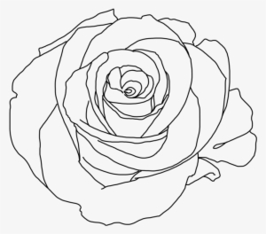 Rose Png Tumblr Download - Minimalist Rose Aesthetic Art