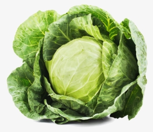 Cabbage Transparent Image