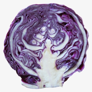 Red Cabbage Png Image - Parple Cabbage Png