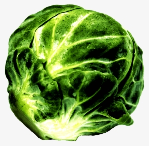 Something People Want Or Something They Need - Brussels Sprouts Clip Art