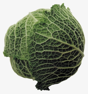 Vegetables - Wild Cabbage