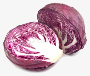 Purple Cabbage Png Image Background - Purple Cabbage Png
