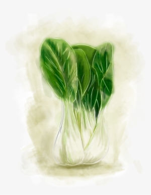 Bokchoiflat - Brussels Sprout