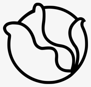 Cabbage Comments - Cabbage Vector