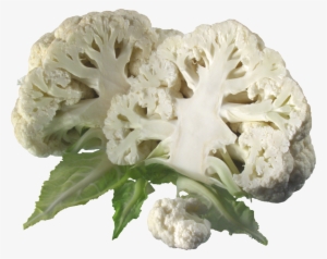 Cauliflower Transparent