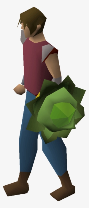 Cabbage Round Shield Equipped - Shield