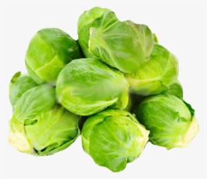 Download Free Cabbages Transparent Pngs - Roasted Brussel Sprouts Transparent