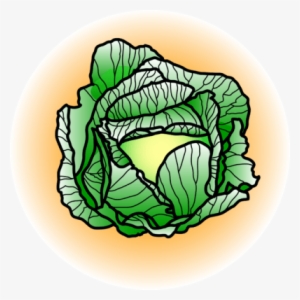 Image - Cabbage - Cabbage Clip Art