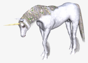 Download - Unicorns Transparent