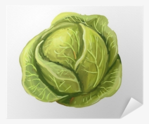 Cabbage Paint