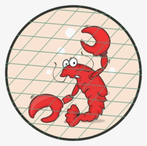 Crawfish Center Twitter Logo Blue Box Facebook Logo - Happy Birthday From Louisiana Meme