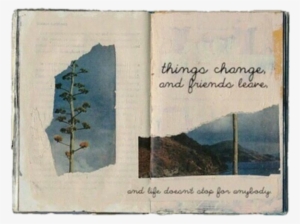 Aesthetic Books Niche Moodboard Png - Nichemoodboard Png