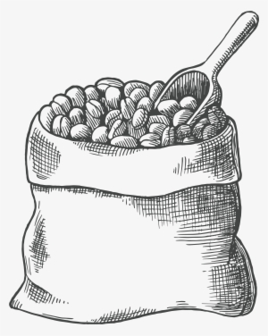 Coffee Bean Drawing Latte Cafe - Coffee Bean Drawing Png