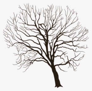 I Saw This Old Tree In The Middle Of A Field In A Local - Portable Network Graphics