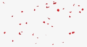 Falling Petals Png File - Rose Petals Gif Png