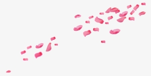 Pink Falling Petals Png Element - Portable Network Graphics