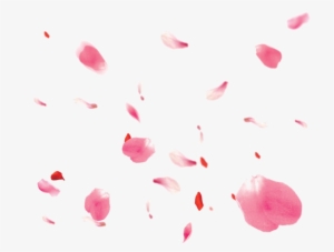 Falling Petals Png Transparent Image - Portable Network Graphics