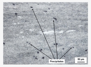 Dark Precipitates In A Microsection Of The Texture - Earrings