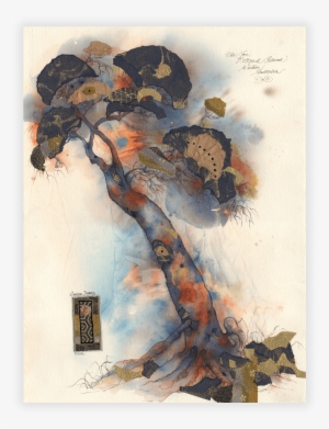 Carole Ayres Old Tree Rottnest - Rottnest Island