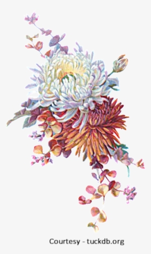 Fall Flowers A1 - Autumn Flowers Vintage Png
