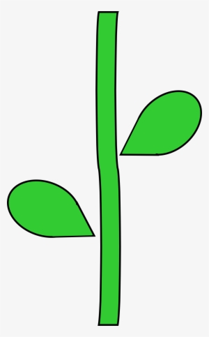 Steam Clipart Flower - Stem Clipart