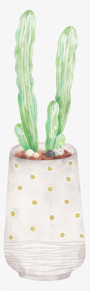 Hand Painted A Plate Of Dragon God Png Transparent - Cactus Png Transparent