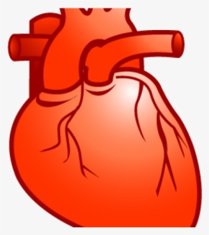 Realistic Heart Free Techflourish - Real Heart Clipart