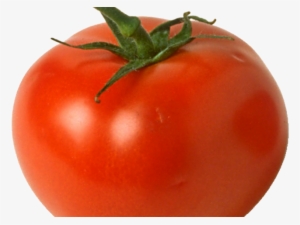 Tomato Clipart Clear Background - Red Tomato