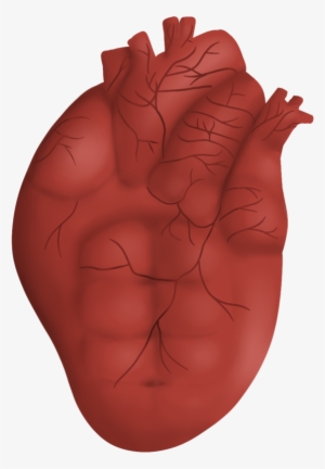 Transparent Heart With Six - Illustration