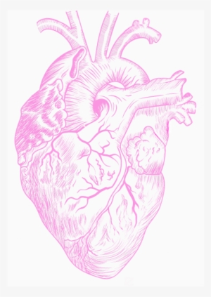 Smart B - Этюды О Природе Человека