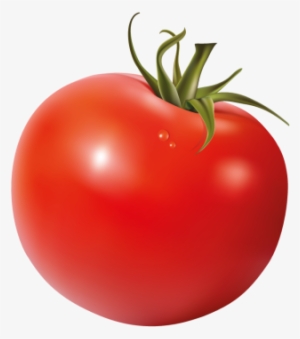 Tomatoes - Plum Tomato