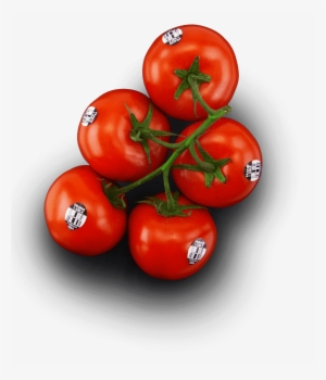 Frank & Able Tomatoes - Tomato