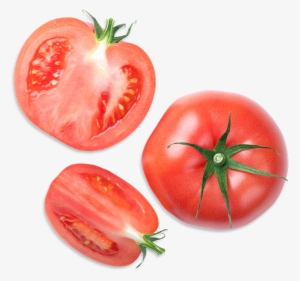 Tomatoes - Tomato