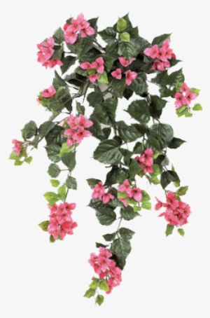 Editing Image - Ivy With Flower Png
